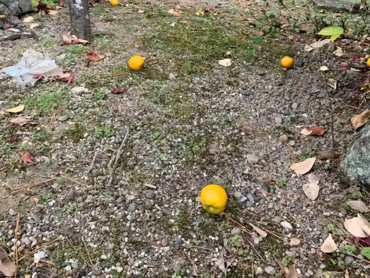 滋賀県護国神社の自然
