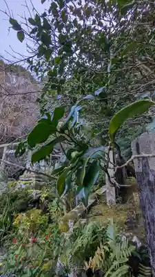 大豊神社(京都府)