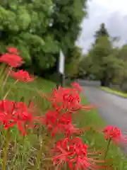 比々多神社の自然