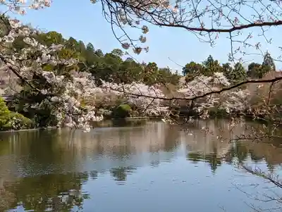 龍安寺(京都府)