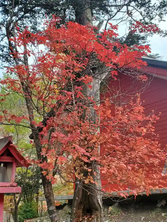 赤城神社の景色