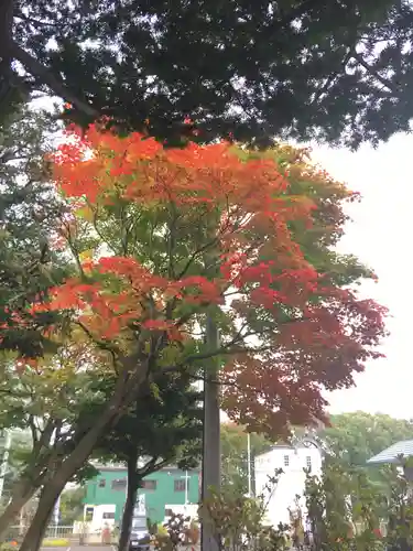 北広島市総鎮守　廣島神社のその他建物