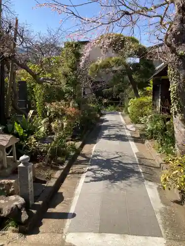 光照寺(神奈川県)