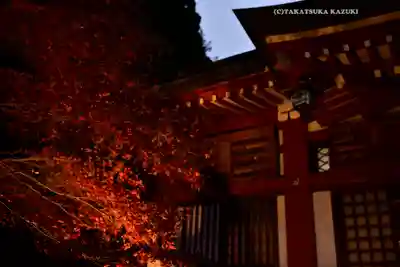 大山阿夫利神社(神奈川県)