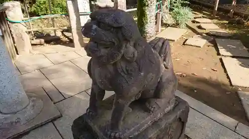 鳩森八幡神社の狛犬