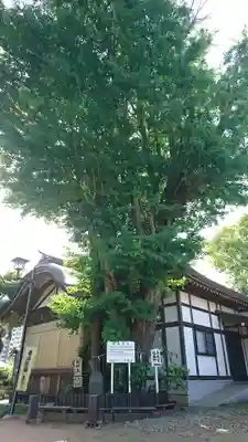 登渡神社(千葉県)