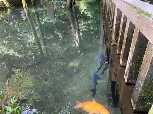 鹿島神宮のその他建物