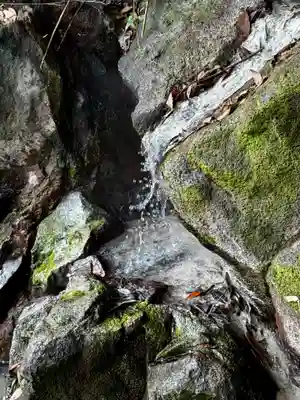 霧島神宮(鹿児島県)