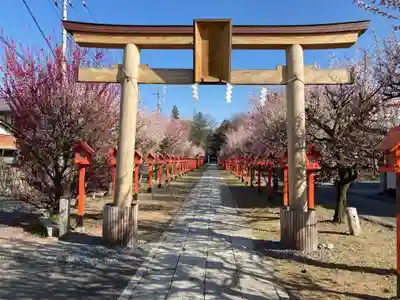 朝日森天満宮の鳥居
