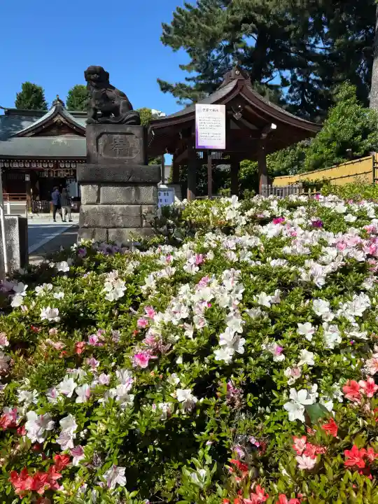 中野沼袋氷川神社の{uncategorized: "未分類", other: "その他", undefined: "問題あり", building: "その他建物", grave: "お墓", sacred_gate: "鳥居", guardian: "狛犬", statue: "像", buddha: "仏像", history: "歴史", nature: "自然", garden: "庭園", animal: "動物", pagoda: "塔", temizu: "手水舎", mountain_gate: "山門・神門", sanctuary: "本殿・本堂", subordinate: "末社・摂社", art: "芸術", scenery: "景色", jizo: "地蔵", ema: "絵馬", goshuin: "御朱印", omikuji: "おみくじ", items: "授与品その他", amulet: "お守り", goshuincho: "御朱印帳", eats: "食事", festival: "お祭り", votive_dance: "神楽", shichigosan: "七五三参", wedding: "結婚式", experience: "体験その他", initially: "初詣", around: "周辺", anti_infection: "感染症対策"}