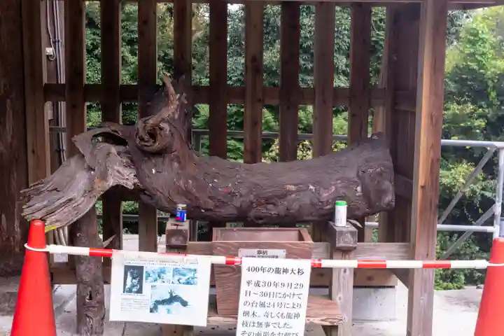 東霧島神社(宮崎県)
