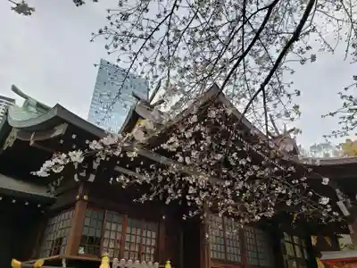 熊野神社の本殿・本堂
