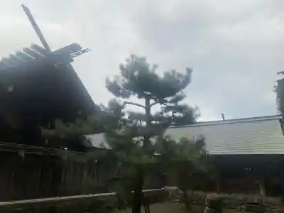 伊曽乃神社の{uncategorized: "未分類", other: "その他", undefined: "問題あり", building: "その他建物", grave: "お墓", sacred_gate: "鳥居", guardian: "狛犬", statue: "像", buddha: "仏像", history: "歴史", nature: "自然", garden: "庭園", animal: "動物", pagoda: "塔", temizu: "手水舎", mountain_gate: "山門・神門", sanctuary: "本殿・本堂", subordinate: "末社・摂社", art: "芸術", scenery: "景色", jizo: "地蔵", ema: "絵馬", goshuin: "御朱印", omikuji: "おみくじ", items: "授与品その他", amulet: "お守り", goshuincho: "御朱印帳", eats: "食事", festival: "お祭り", votive_dance: "神楽", shichigosan: "七五三参", wedding: "結婚式", experience: "体験その他", initially: "初詣", around: "周辺", anti_infection: "感染症対策"}