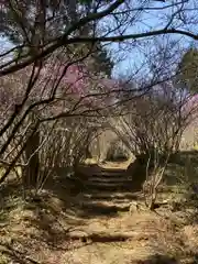 富士神社の建物その他