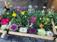上目黒氷川神社の手水舎