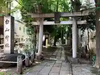 荻窪白山神社の鳥居