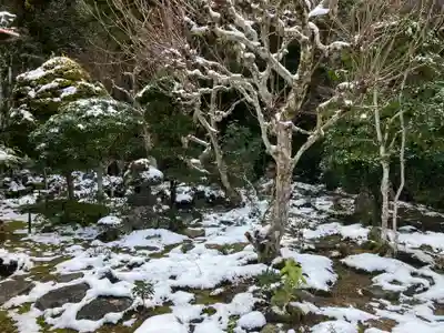 普光寺のその他建物