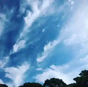 信行寺の景色(2021年05月28日(金) 09時01分12秒投稿)