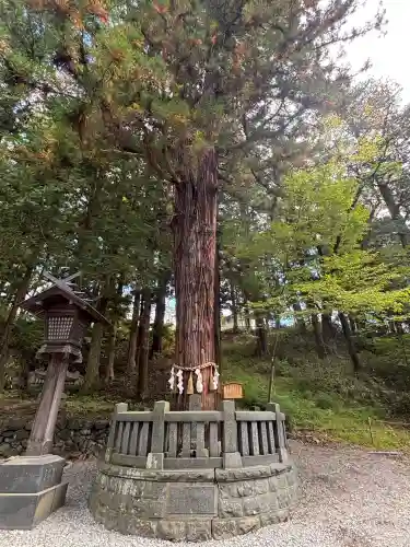 諏訪大社下社春宮(長野県)