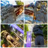 新琴似神社(北海道)