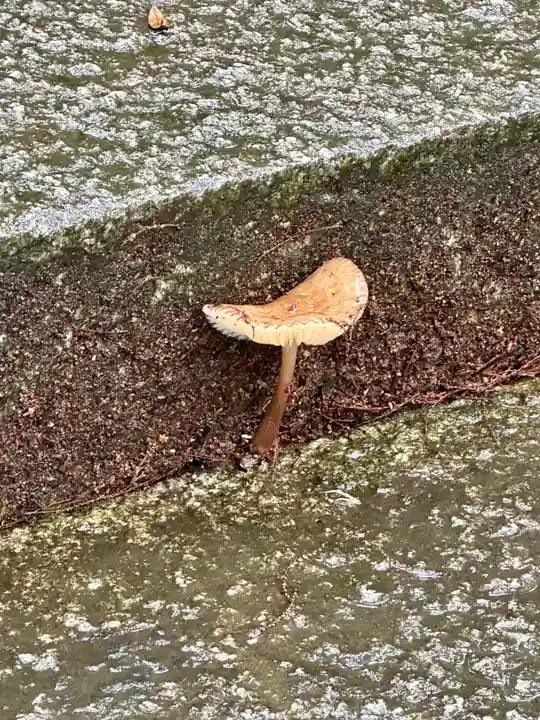 豊国廟(豊国神社飛地境内)(京都府)