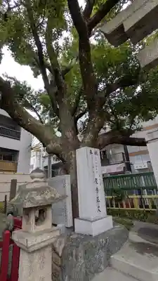 足の神様 服部天神宮(大阪府)