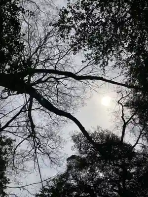神崎神社(千葉県)
