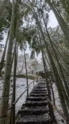 圓光寺(京都府)