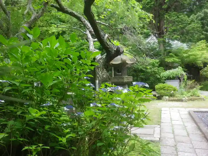 安國論寺(安国論寺)の庭園