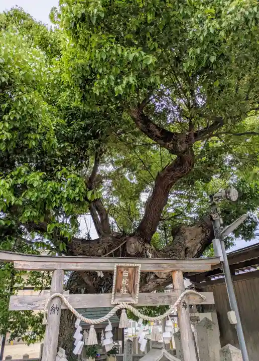 石津太神社(大阪府)