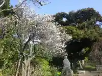 宝戒寺の自然