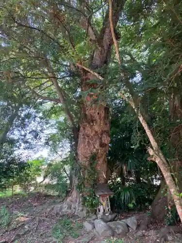 春日神社(京都府)