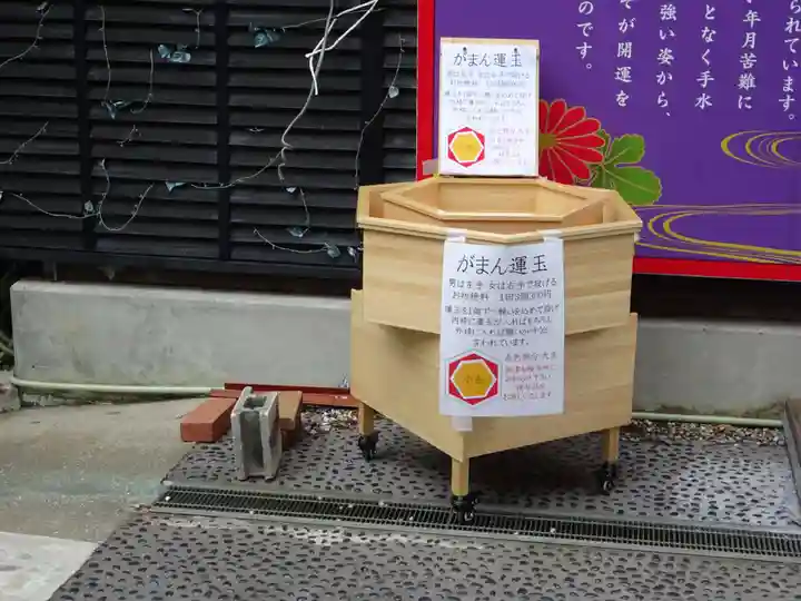 菊名神社(神奈川県)