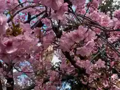 星影神社(千葉県)