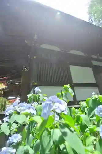 高幡不動尊　金剛寺のその他建物