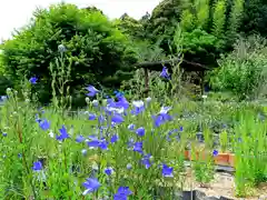 香勝寺の自然