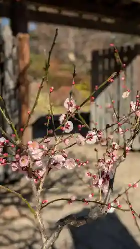 武蔵一宮氷川神社(埼玉県)
