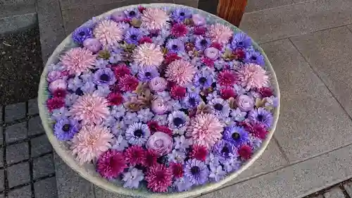 行田八幡神社の手水舎