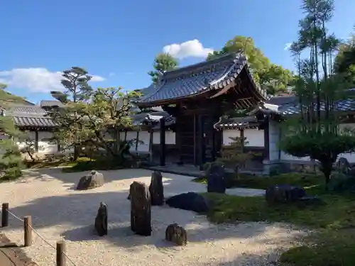 崇福寺の庭園