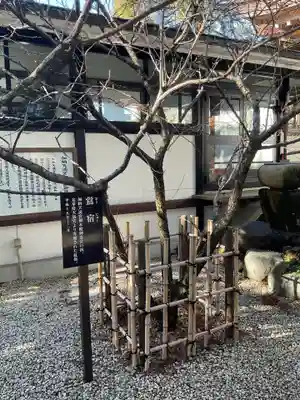 加納天満宮の庭園