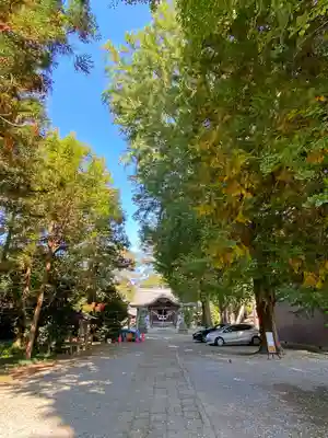 網戸神社のその他建物