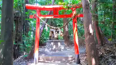 白山媛神社（上条白山媛神社）の鳥居