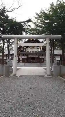 新琴似神社の鳥居