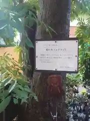 野々宮神社(埼玉県)