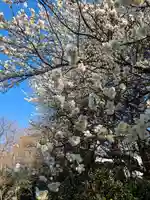 玉眞院玉川大師(東京都)