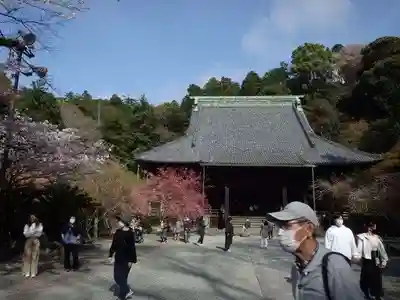 妙本寺の本殿・本堂