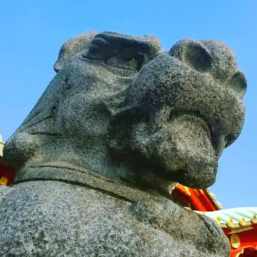 神田神社（神田明神）の狛犬