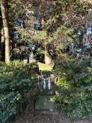 星宮神社(栃木県)