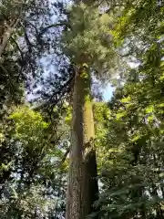 水澤寺(水澤観世音)(群馬県)