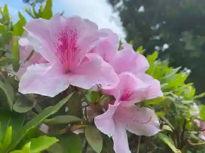 美奈宜神社(福岡県)